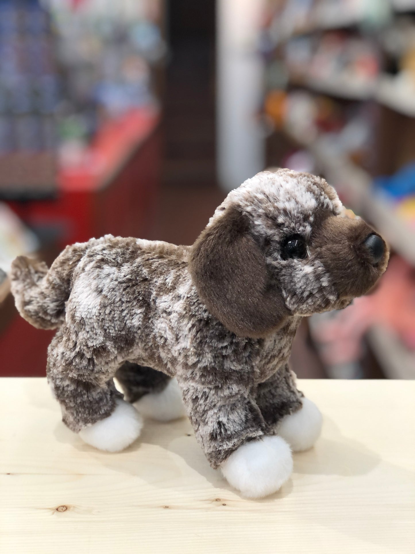 Adorable Douglas Spud plush mutt with brindle coat, soulful brown eyes, and white paws standing on wooden surface