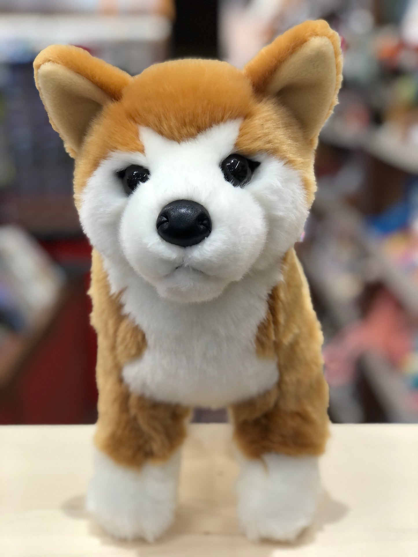 Douglas Dunham Shiba Inu Plush 12"