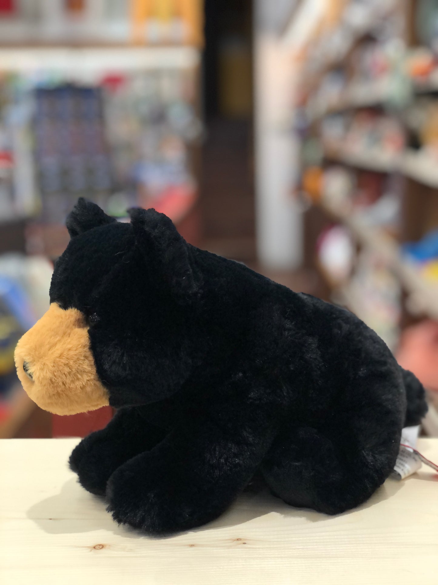 Soft black bear plush toy with tan snout on display, showing cuddly design and realistic features in a store setting
