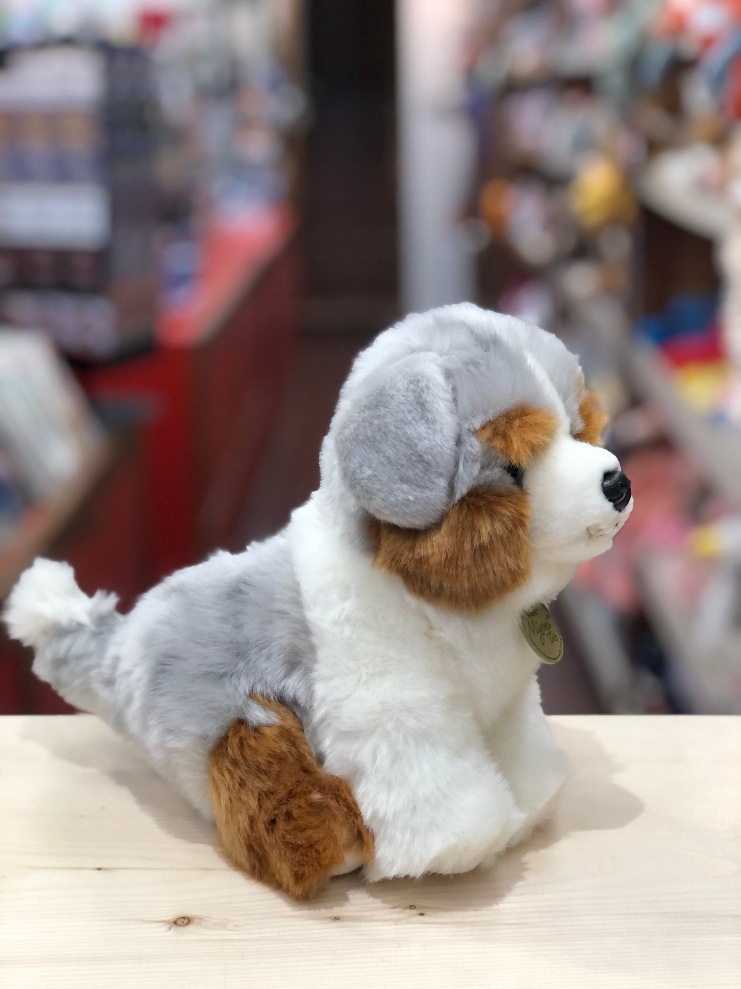 Adorable Aurora Miyoni Aussie pup plush toy with realistic mixed-color coat, sitting on wooden surface in toy store