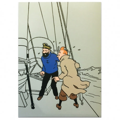 Tintin duvet cover design showing characters on ship deck from Red Rackham's Treasure comic