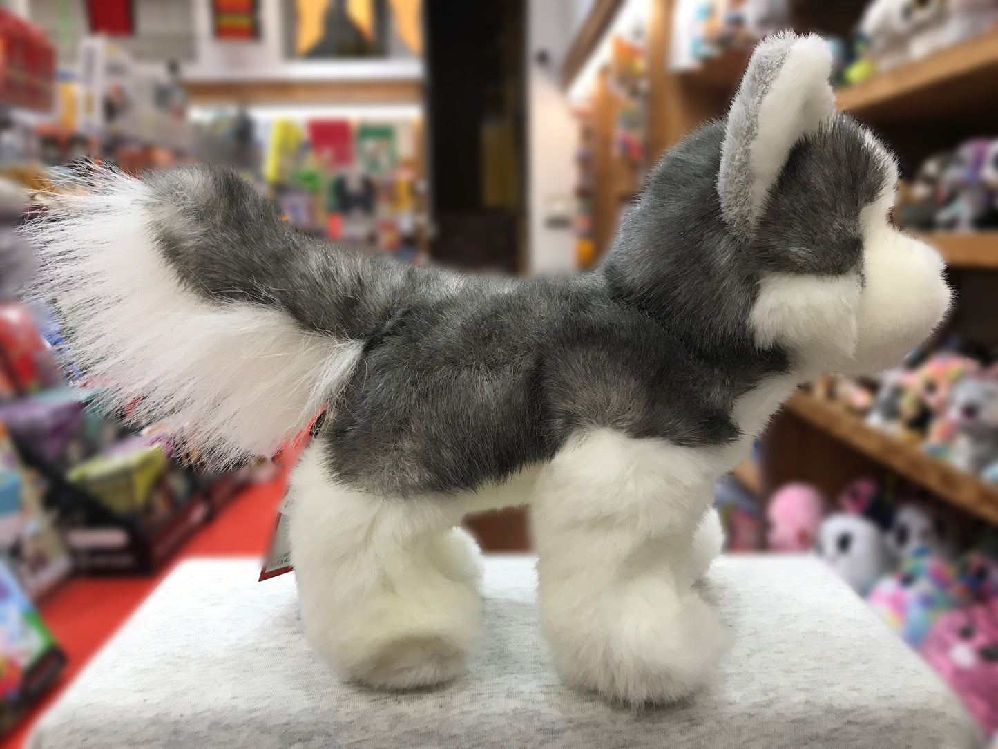 Plush Husky dog toy with realistic grey and white coat, fluffy tail, and alert pose in toy store setting