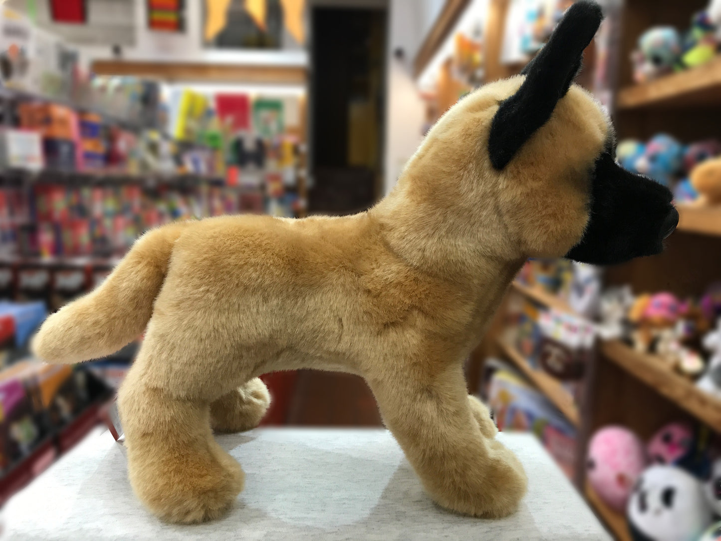 Douglas Klaus Belgian Malinois Dog Plush 12"
