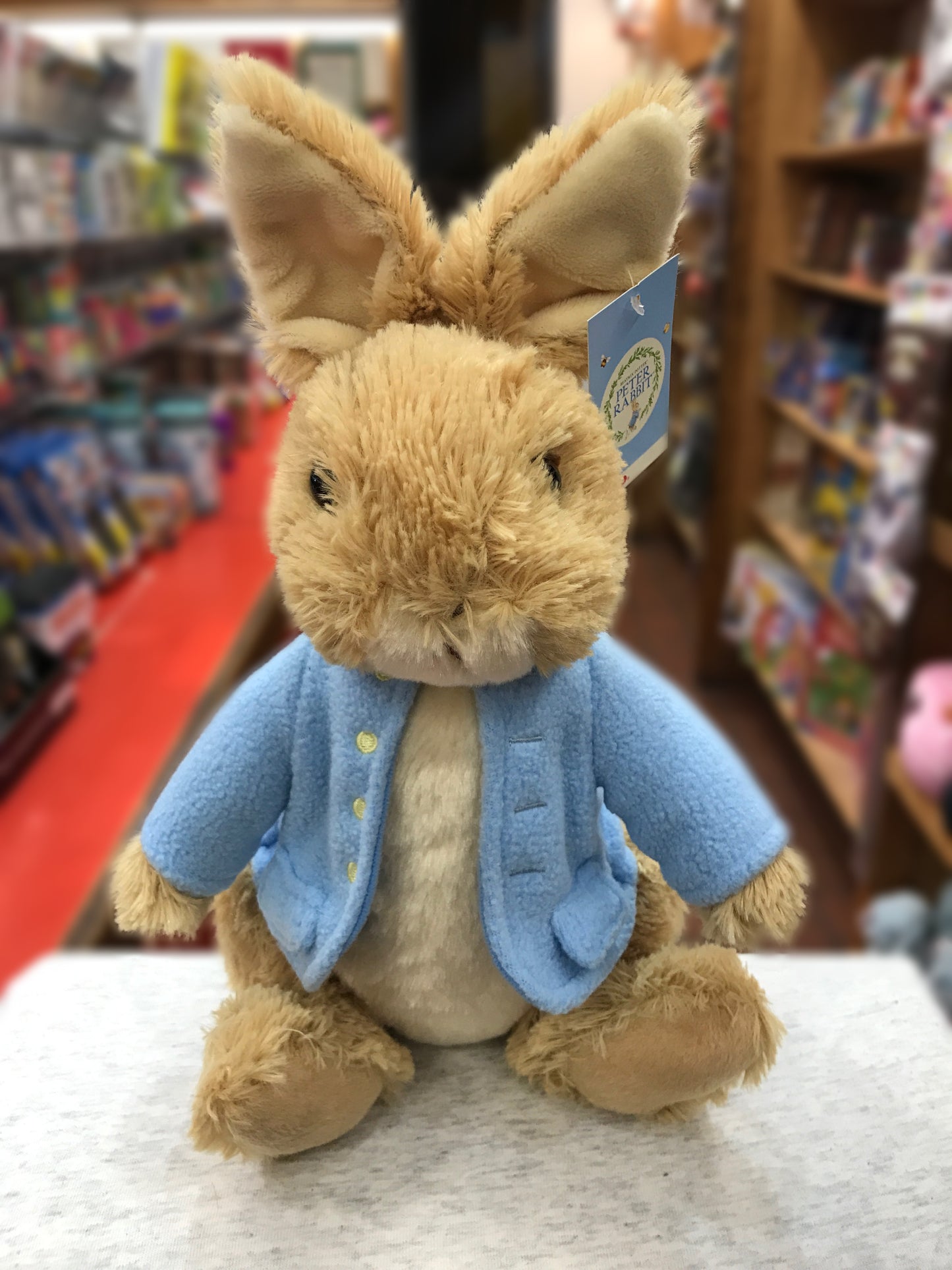 Gund classic Peter Rabbit plush toy in blue coat, 9 inches tall, sitting on display in bookstore