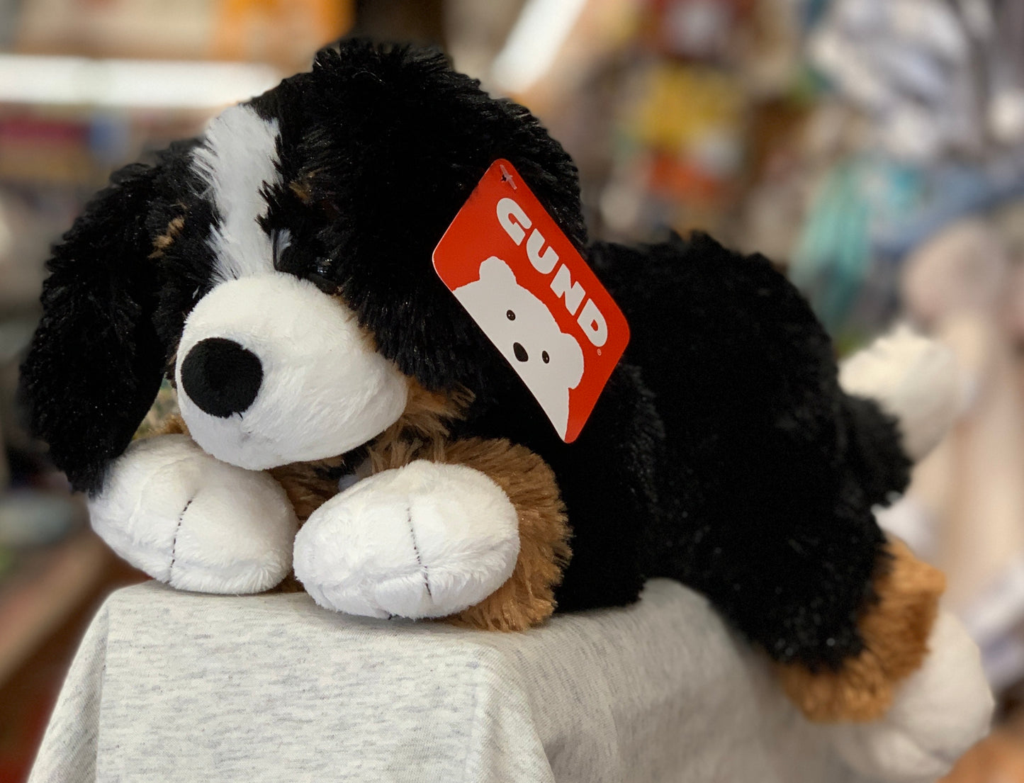 Gund Randle Bernese Mountain Dog plush toy with black, white, and brown fur, red tag, lying on display in store