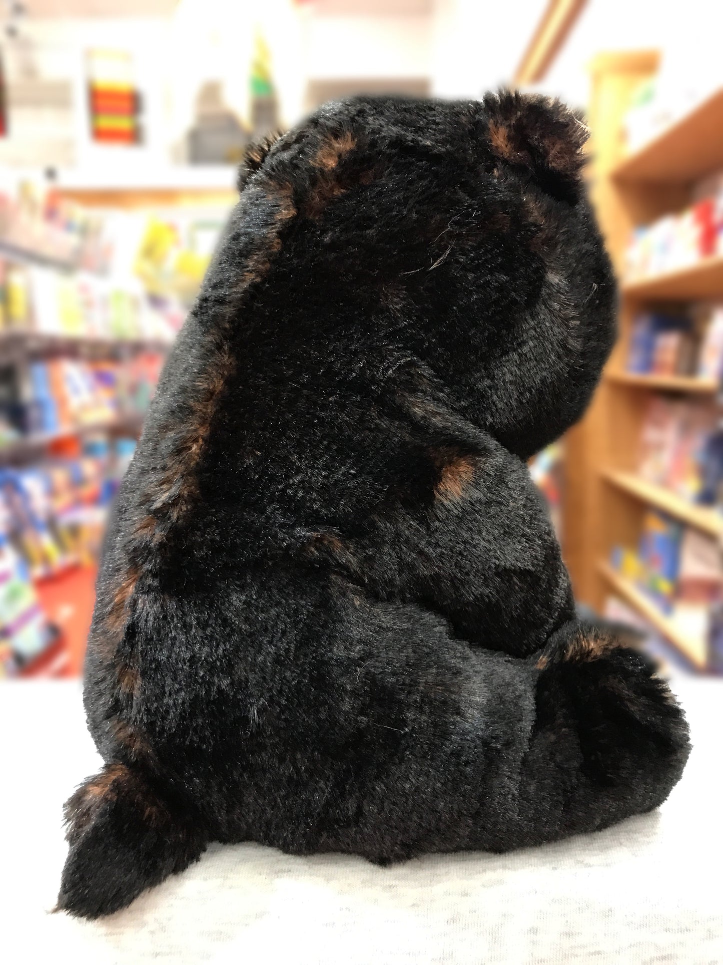 Ty Beanie Boo Kodi black bear plush toy sitting in bookstore, soft furry texture visible, 13-inch size