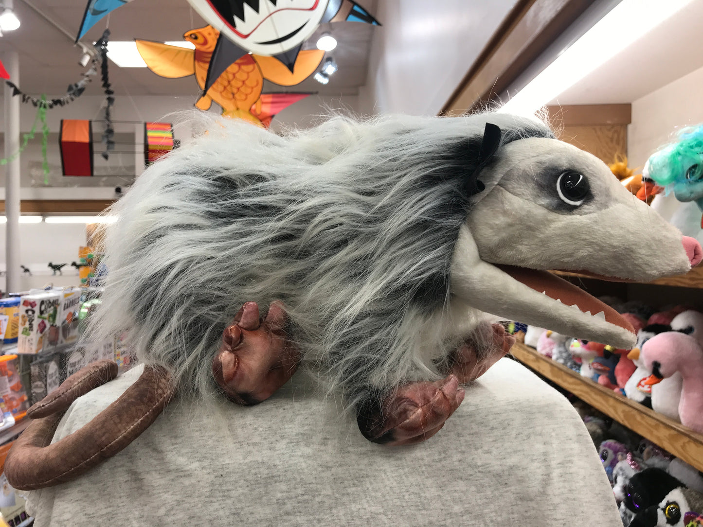 Realistic Folkmanis opossum puppet with gray fur and pink paws, displayed in toy store with colorful plush animals