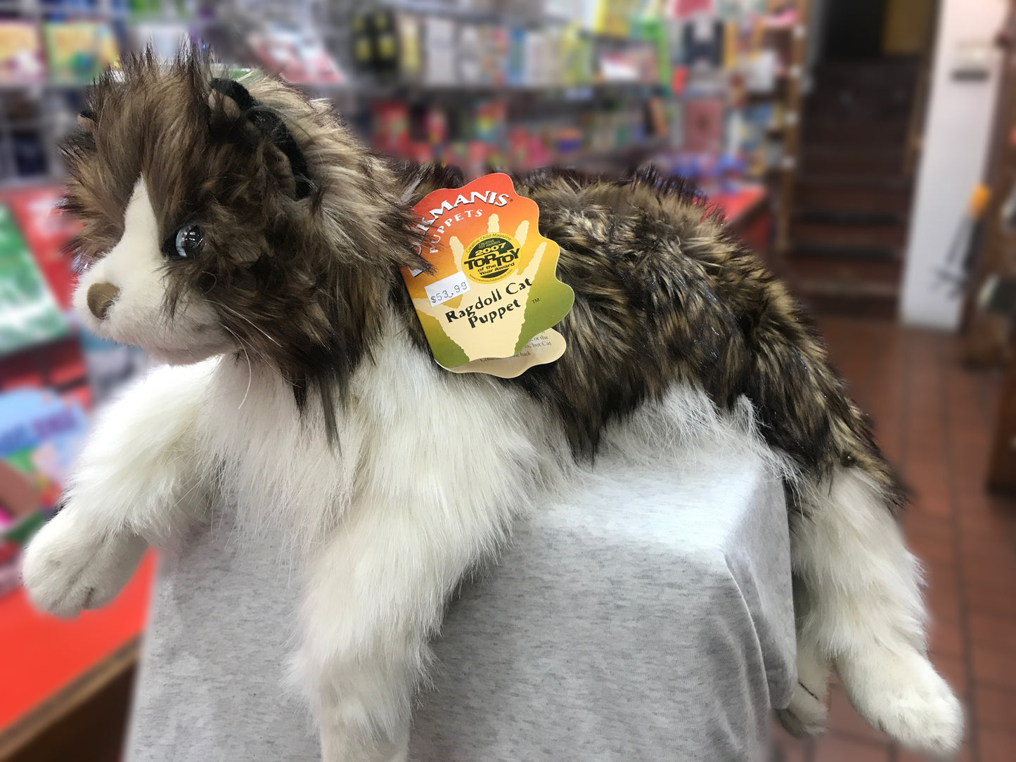 Realistic Folkmanis Ragdoll Cat puppet with long brown and white fur, relaxed pose, and product tag in toy store setting