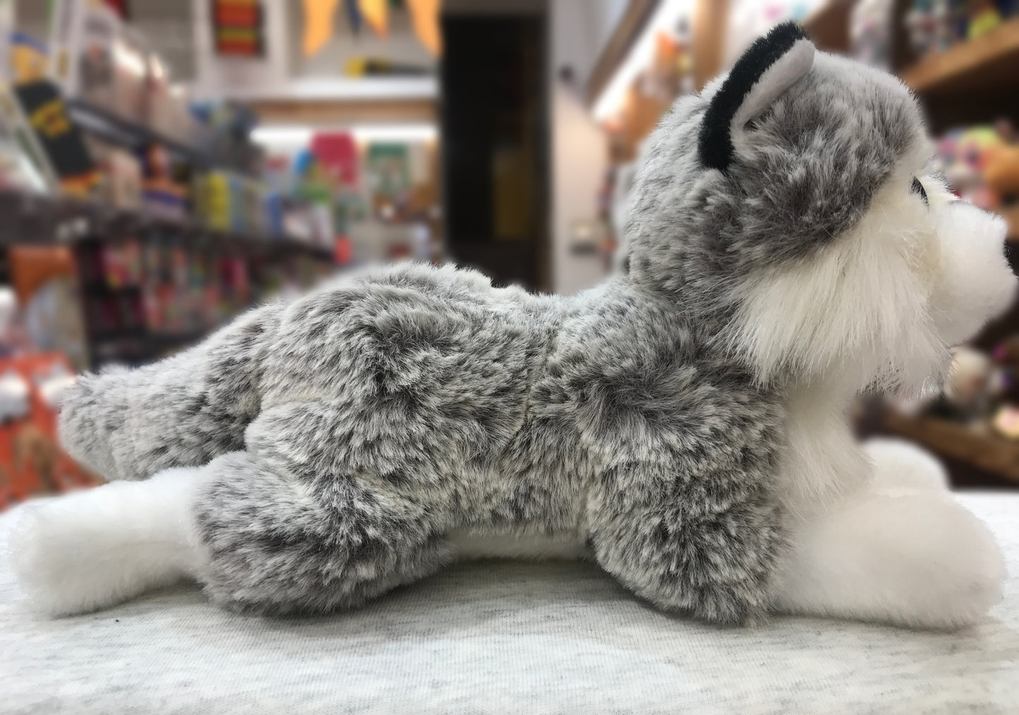 Ty Beanie Baby Baltic, grey and white husky plush toy, lying on display in toy store with colorful background