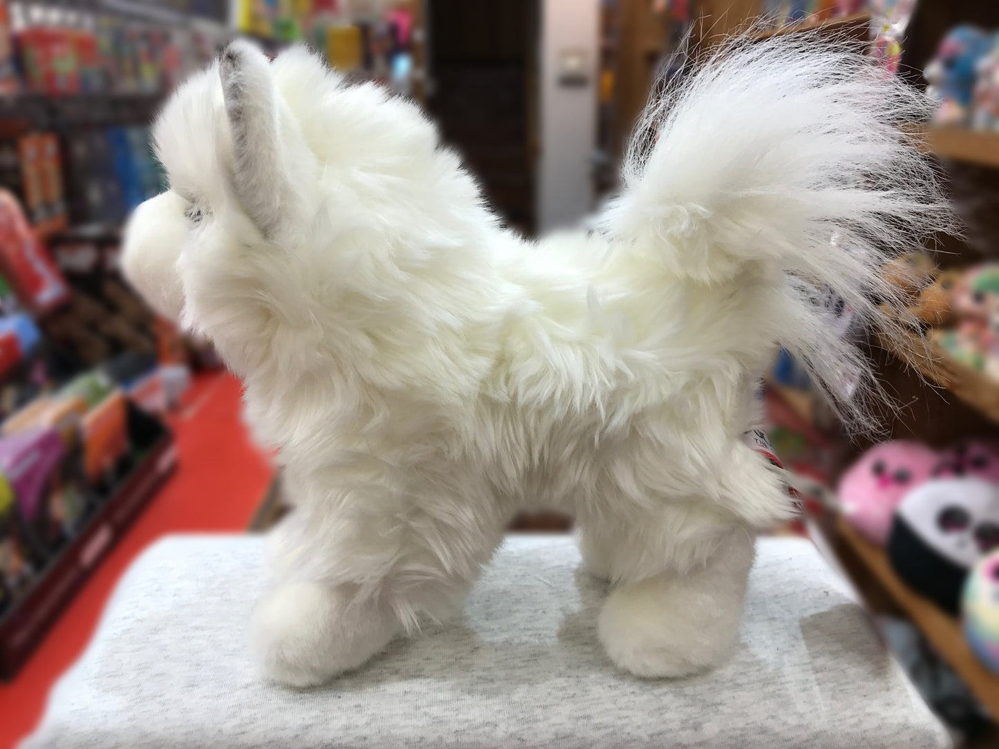 Fluffy white Pomsky plush toy with alert ears and curvy tail, standing on display in a toy store