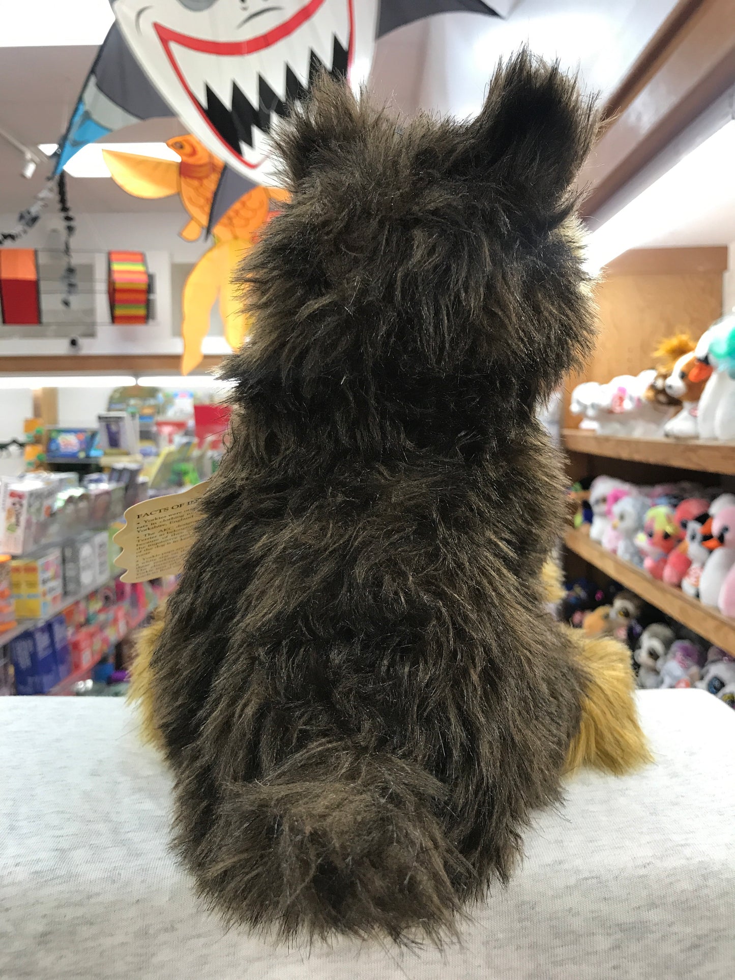 Shaggy Folkmanis Yorkie pup puppet with realistic fur, viewed from behind in a toy store display with colorful surroundings