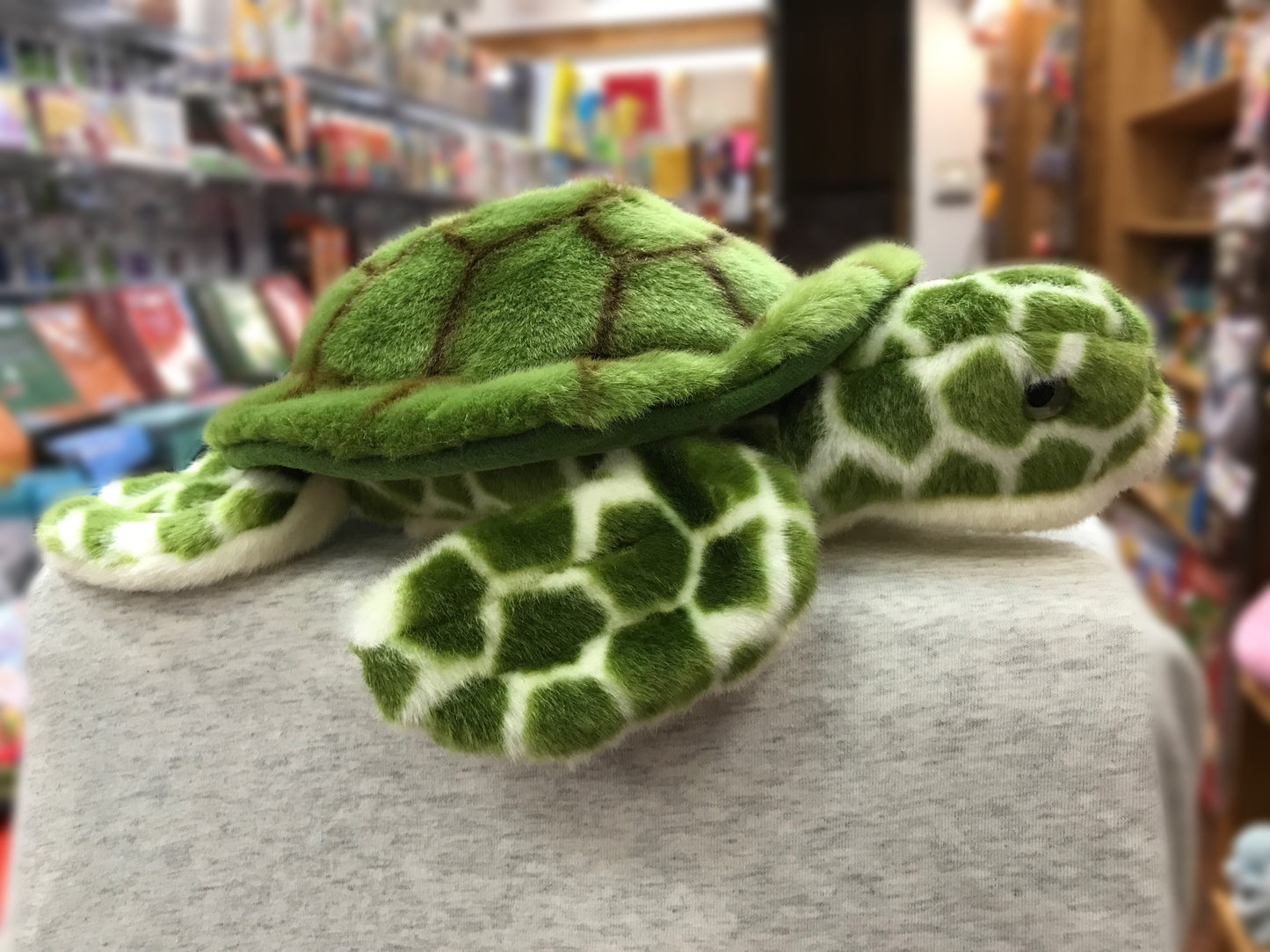 Toti sea turtle plush toy with green shell and patterned body, displayed in a store setting
