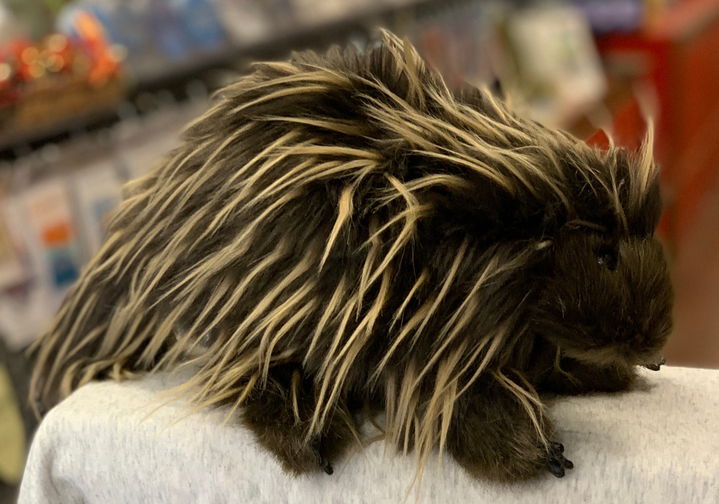 Folkmanis porcupine hand puppet with realistic quill-like fur, sitting on display in a store, showcasing its soft yet spiky appearance