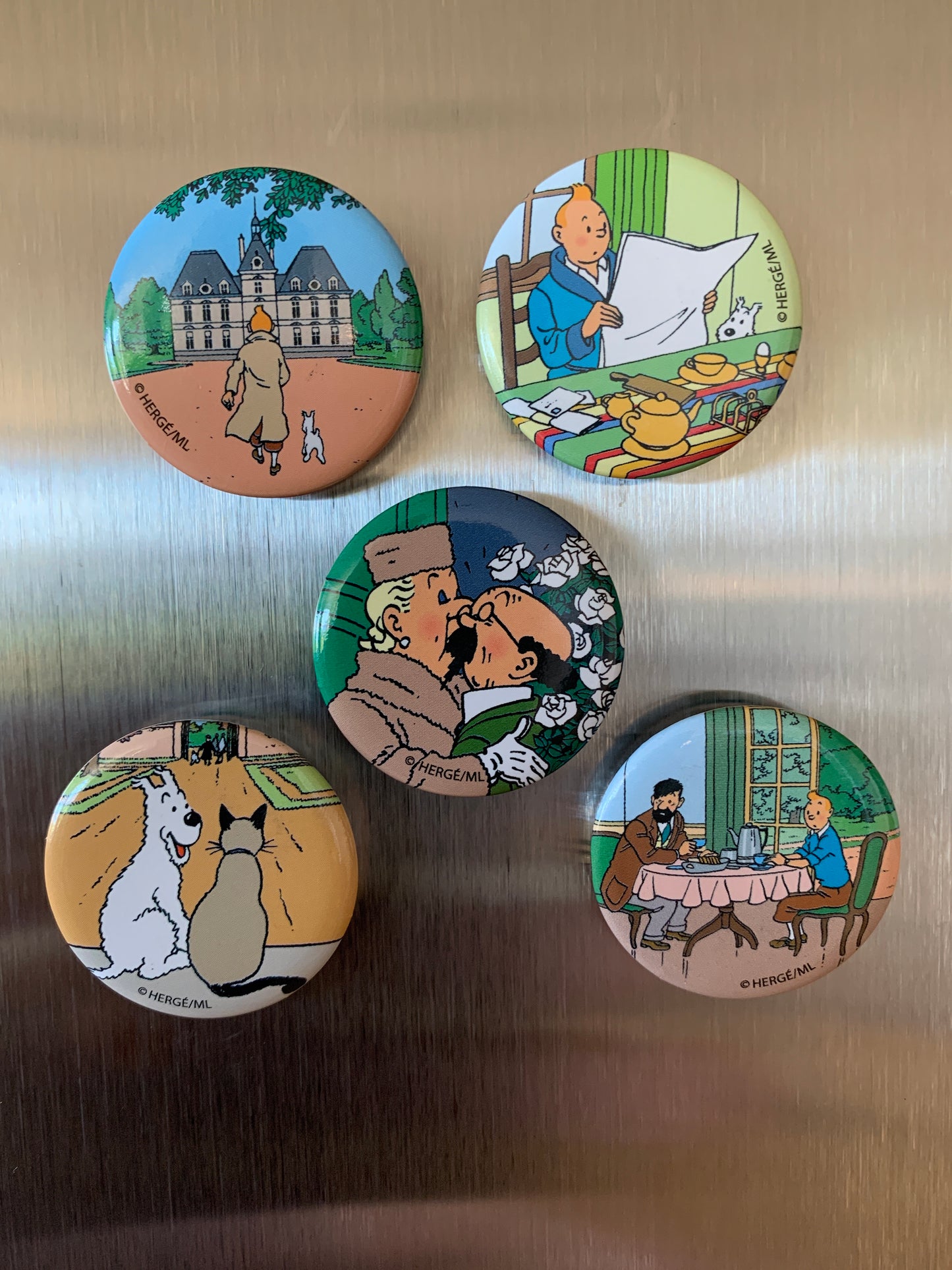 Set of five Tintin magnets featuring scenes from popular albums, including castle grounds, reading, characters interacting, and pets