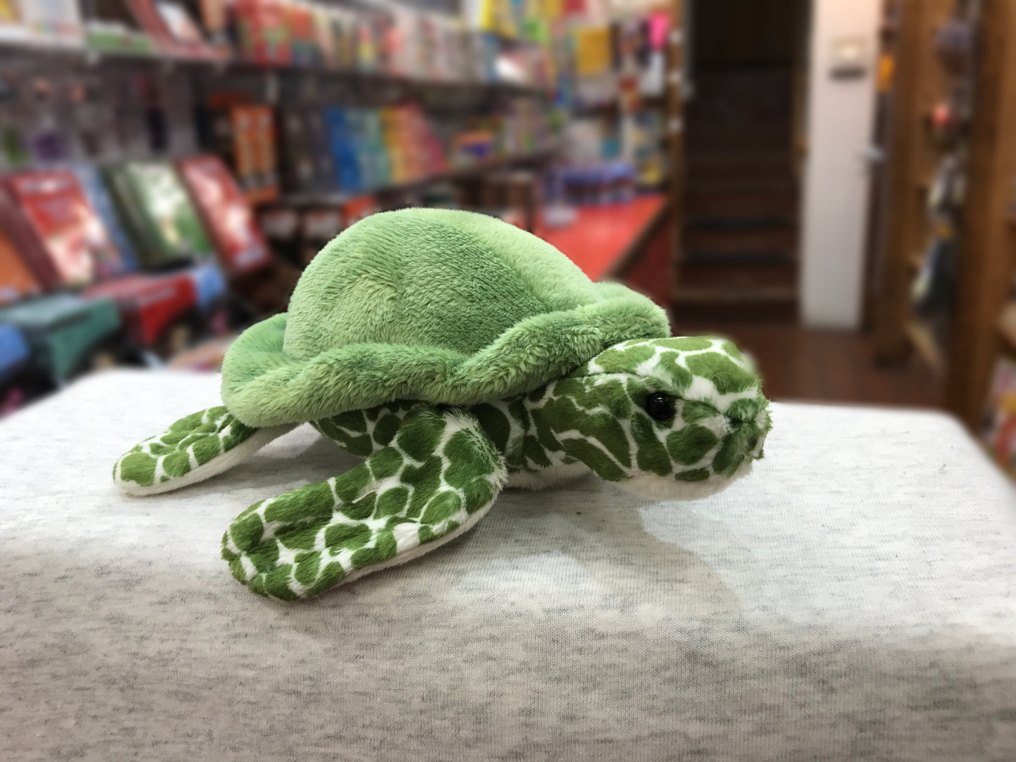 Green sea turtle plush toy with realistic patterned flippers and soft shell, displayed in a store with colorful background