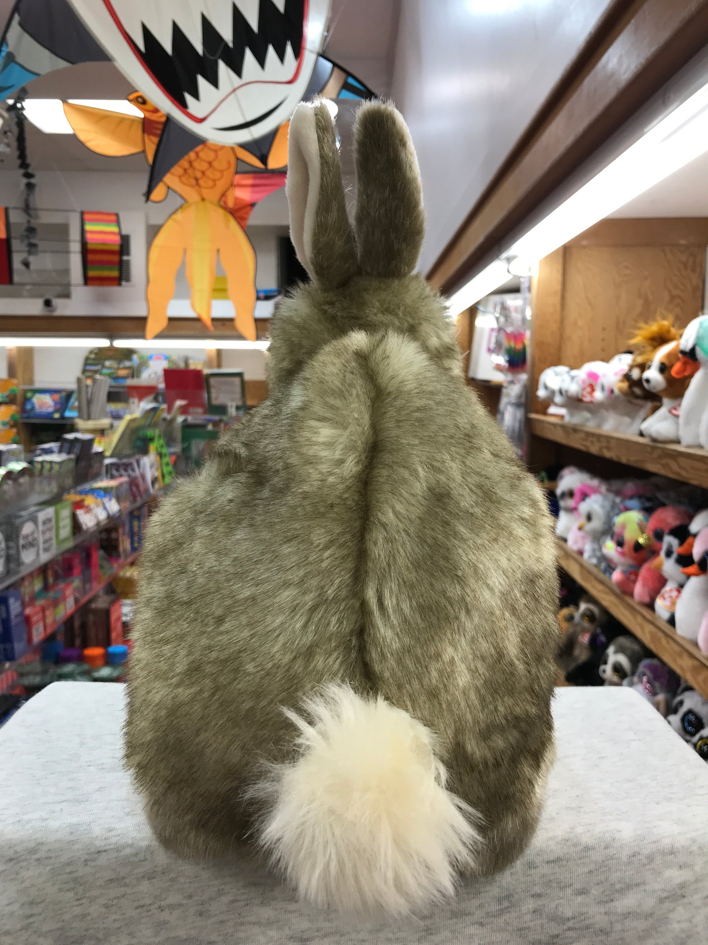 Folkmanis 15" cottontail rabbit puppet with perked ears and fluffy tail, displayed in toy store with colorful backdrop