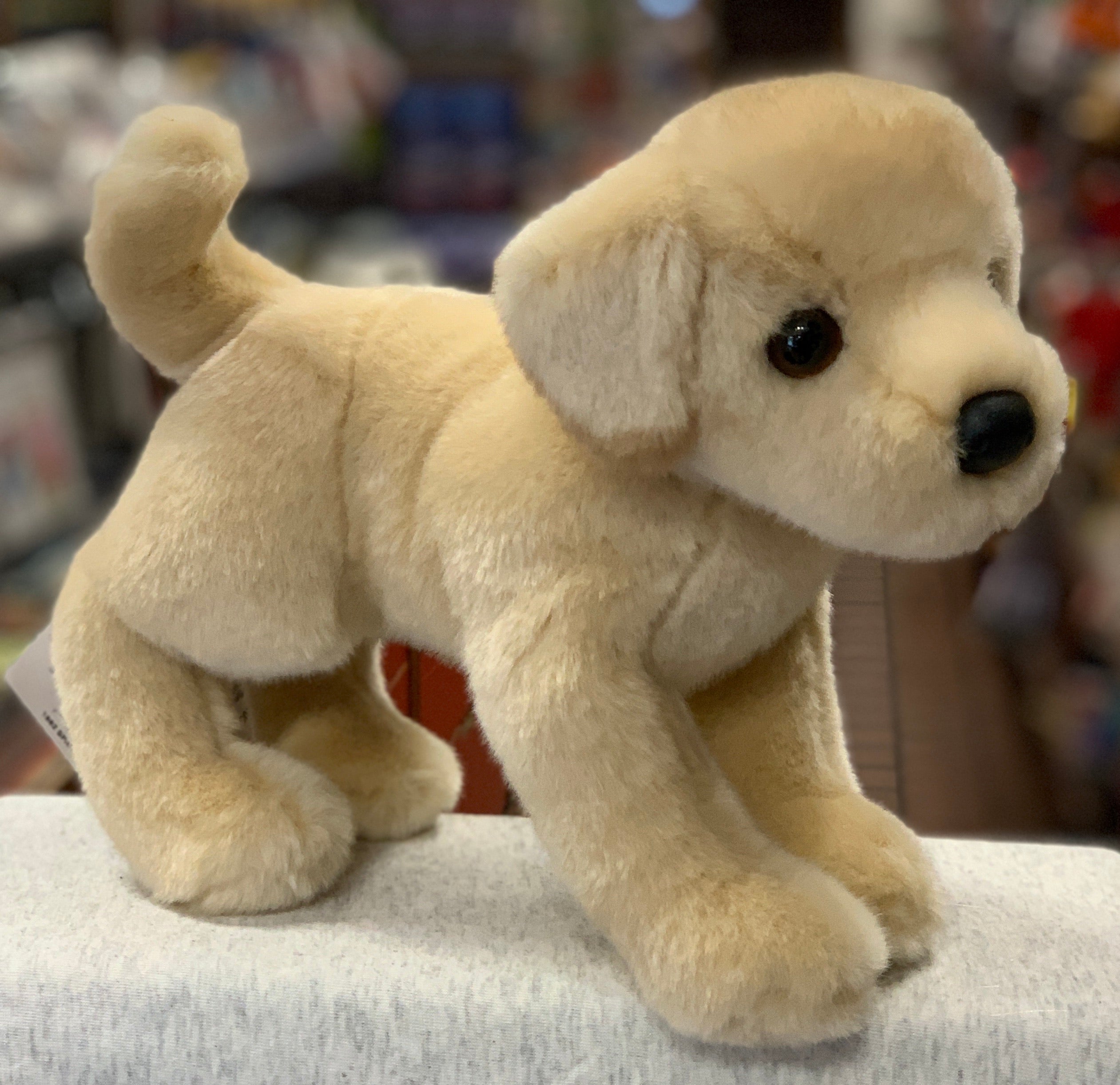 Douglas Spankie Dog Plush 12” – Sausalito Ferry Co