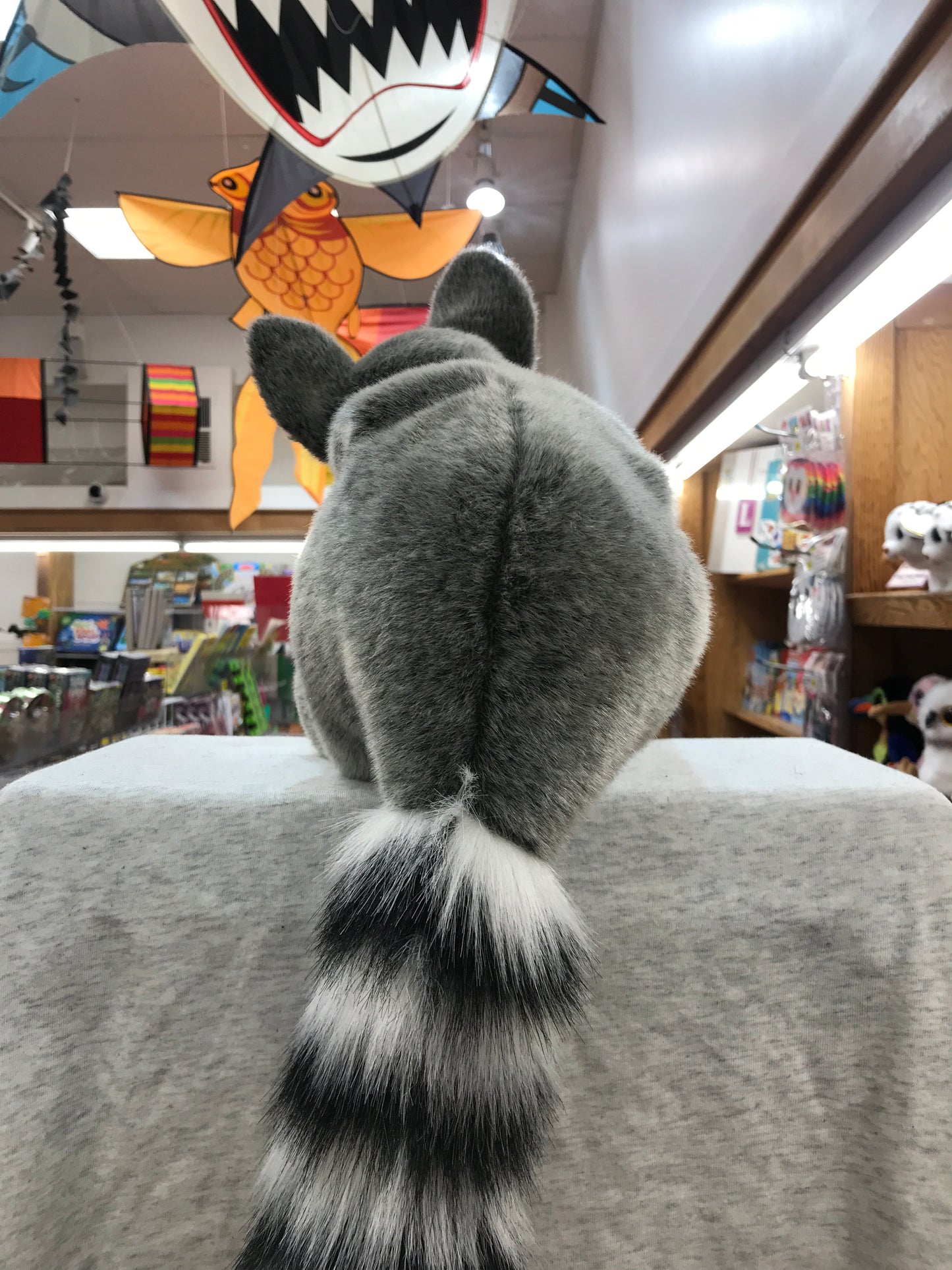 Folkmanis ringtail cat puppet from behind, showcasing its long striped tail and fuzzy gray body in a colorful toy store setting