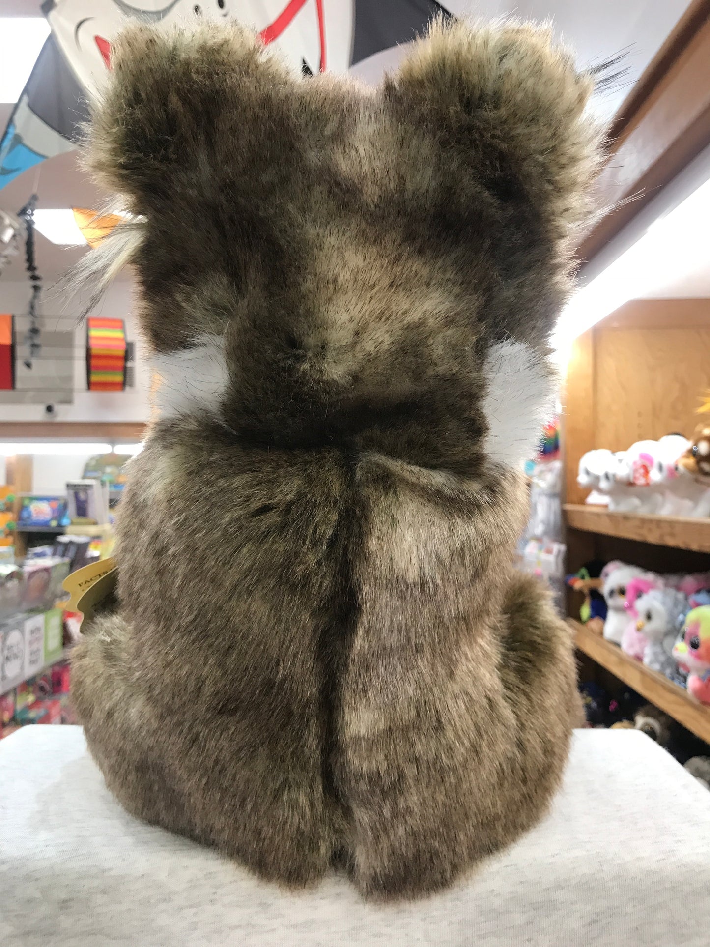Folkmanis koala puppet, back view showing plump fluffy body and rounded ears, displayed in toy store surrounded by other plush animals