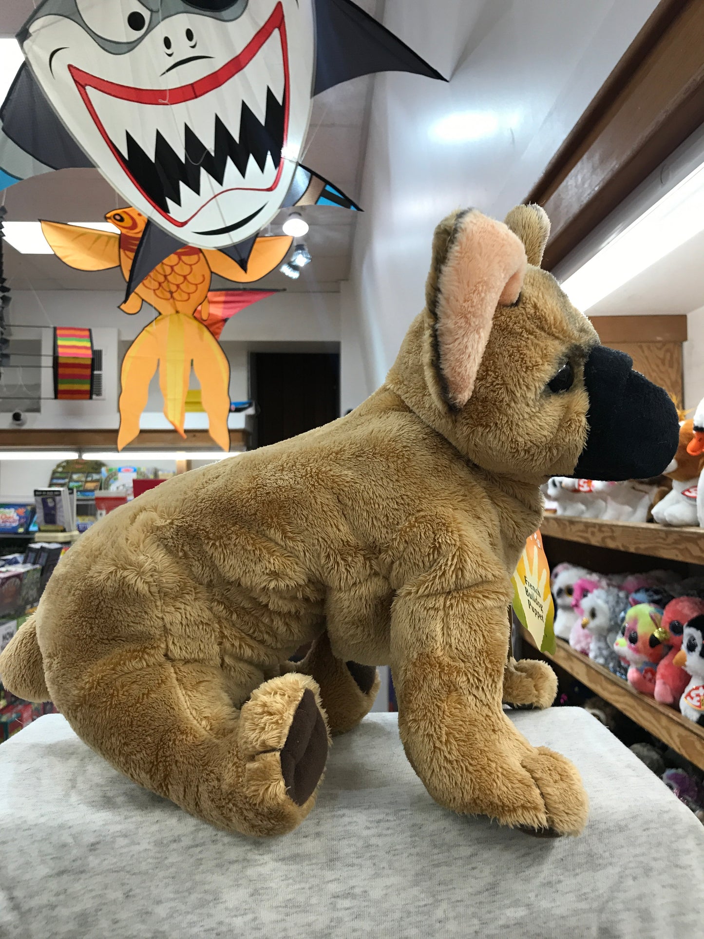 Folkmanis French Bulldog puppet in toy store, with distinctive bat ears and wrinkly face, surrounded by colorful toys and decorations