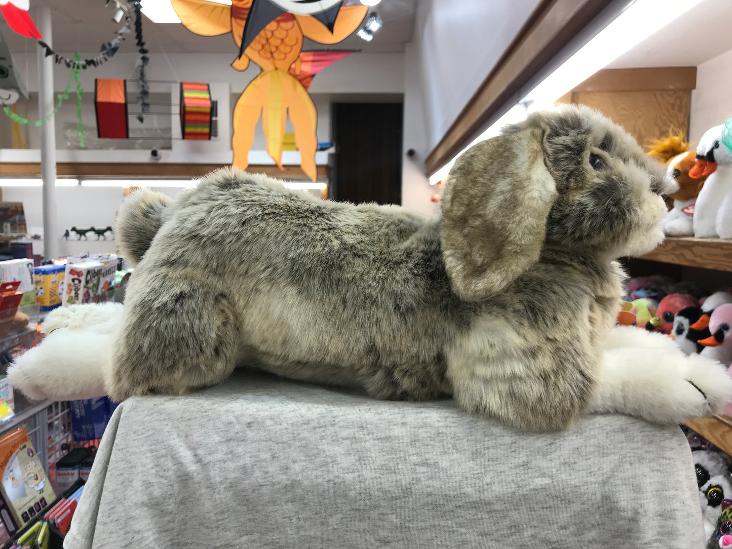 Folkmanis Holland Lop Rabbit puppet, soft gray plush toy in toy store display, 15 inches long, cuddly and snuggable for ages 3+
