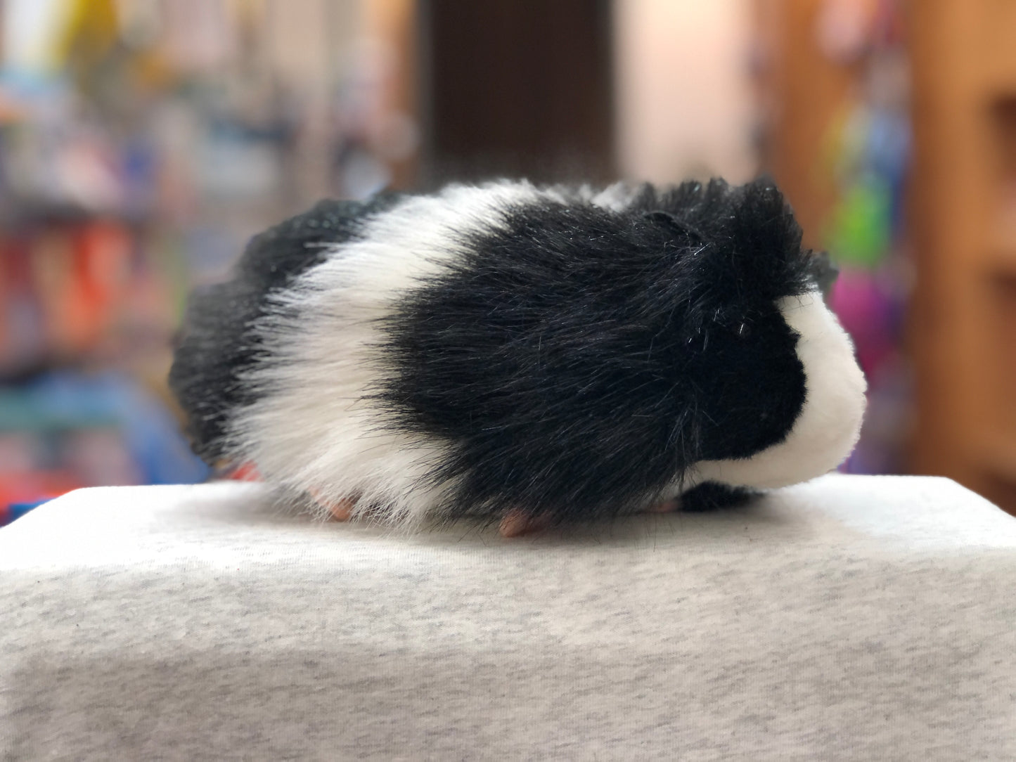 Realistic black and white Angora guinea pig plush toy with long fur, sitting on white surface, colorful background