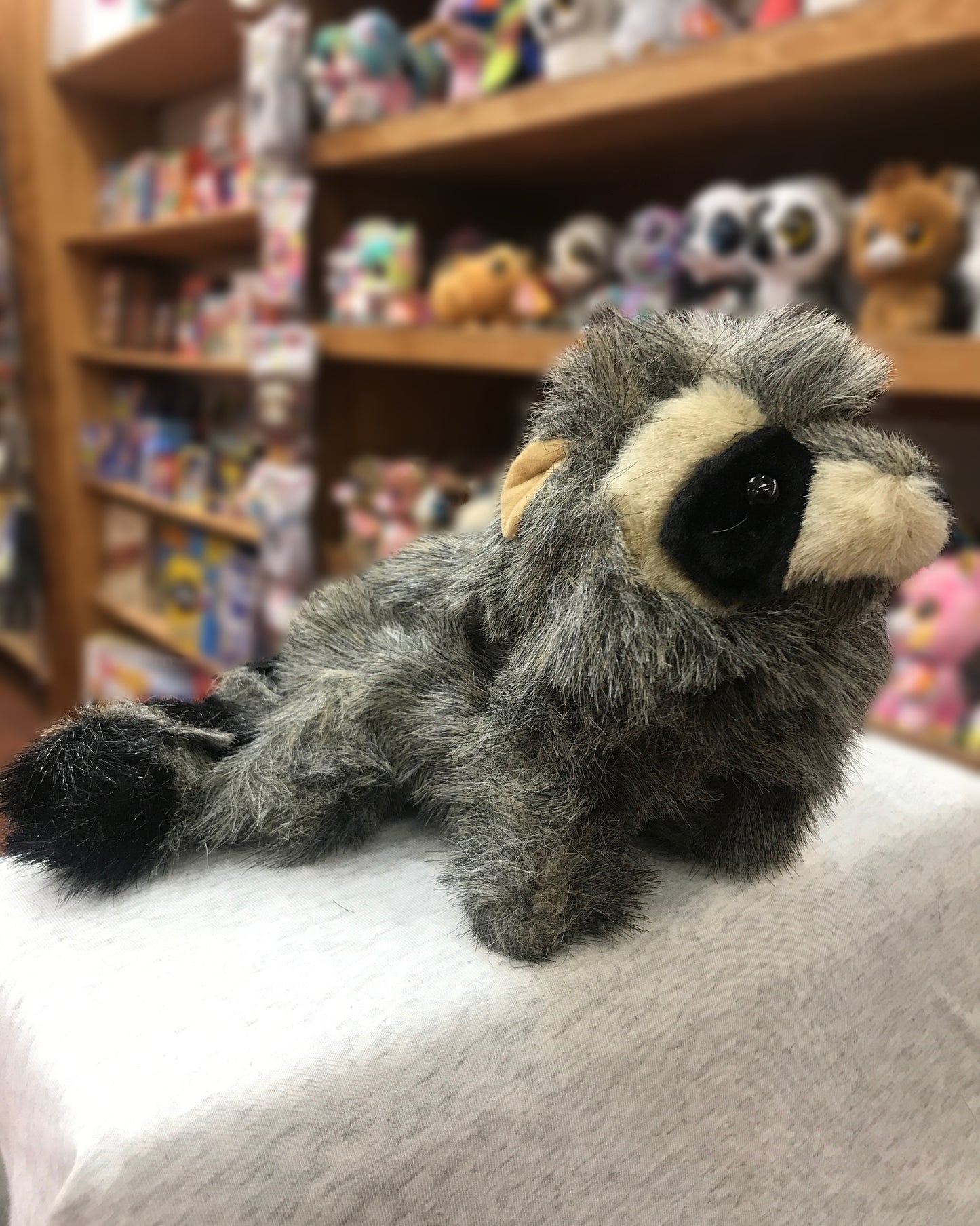 Folkmanis raccoon puppet on display in toy store, surrounded by colorful plush animals on shelves, ready for curious play