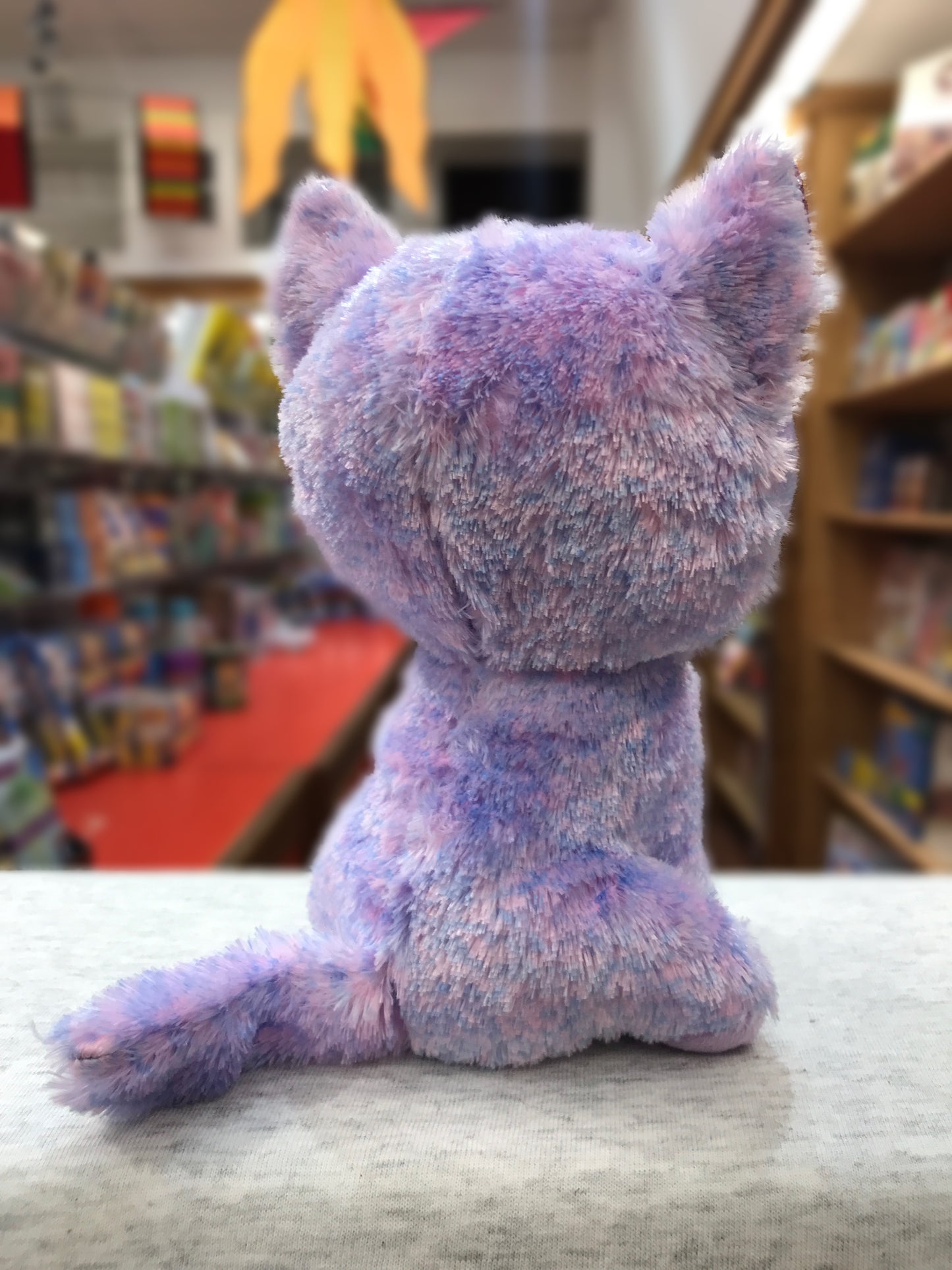 Ty Beanie Boo Cassidy lavender cat plush sitting in bookstore, viewed from behind, soft fluffy texture visible