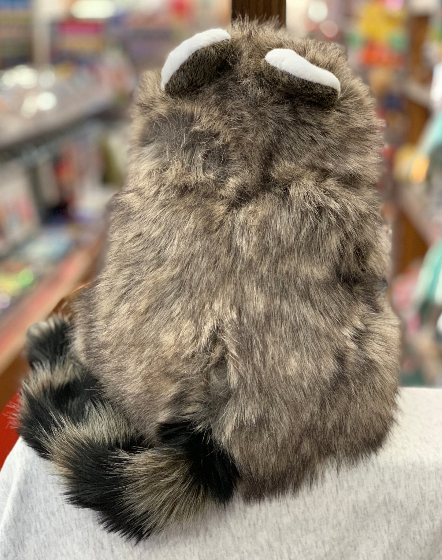 Folkmanis Raccoon hand puppet with realistic gray fur and striped tail, sitting upright in a toy store display