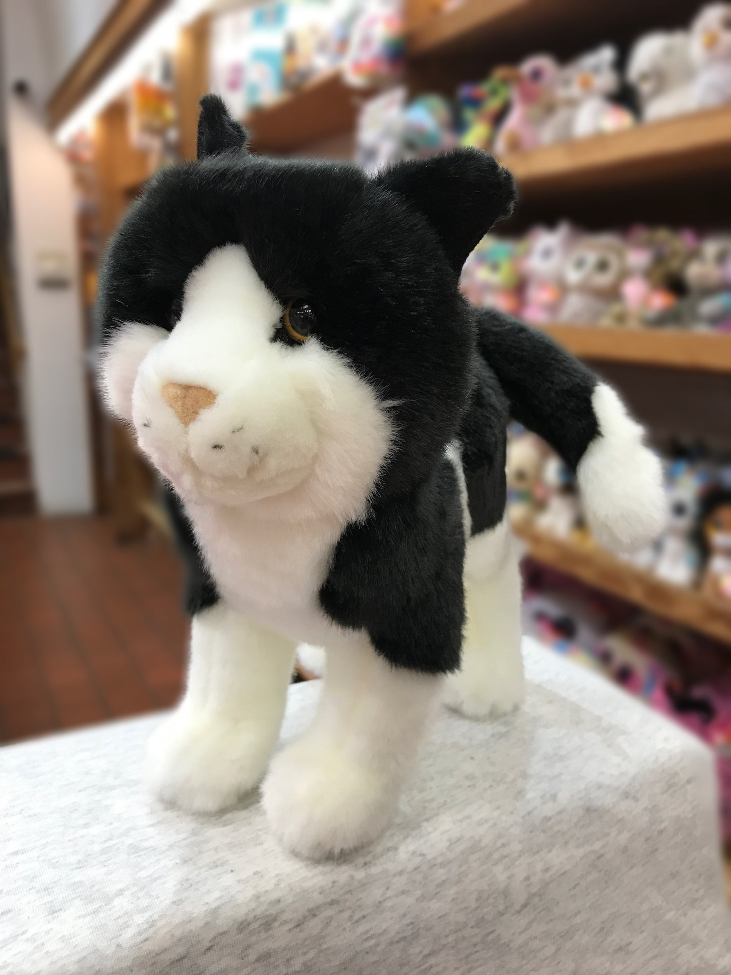 Cuddly black and white cat plush toy with tuxedo markings, standing alert on shelf with other stuffed animals in background