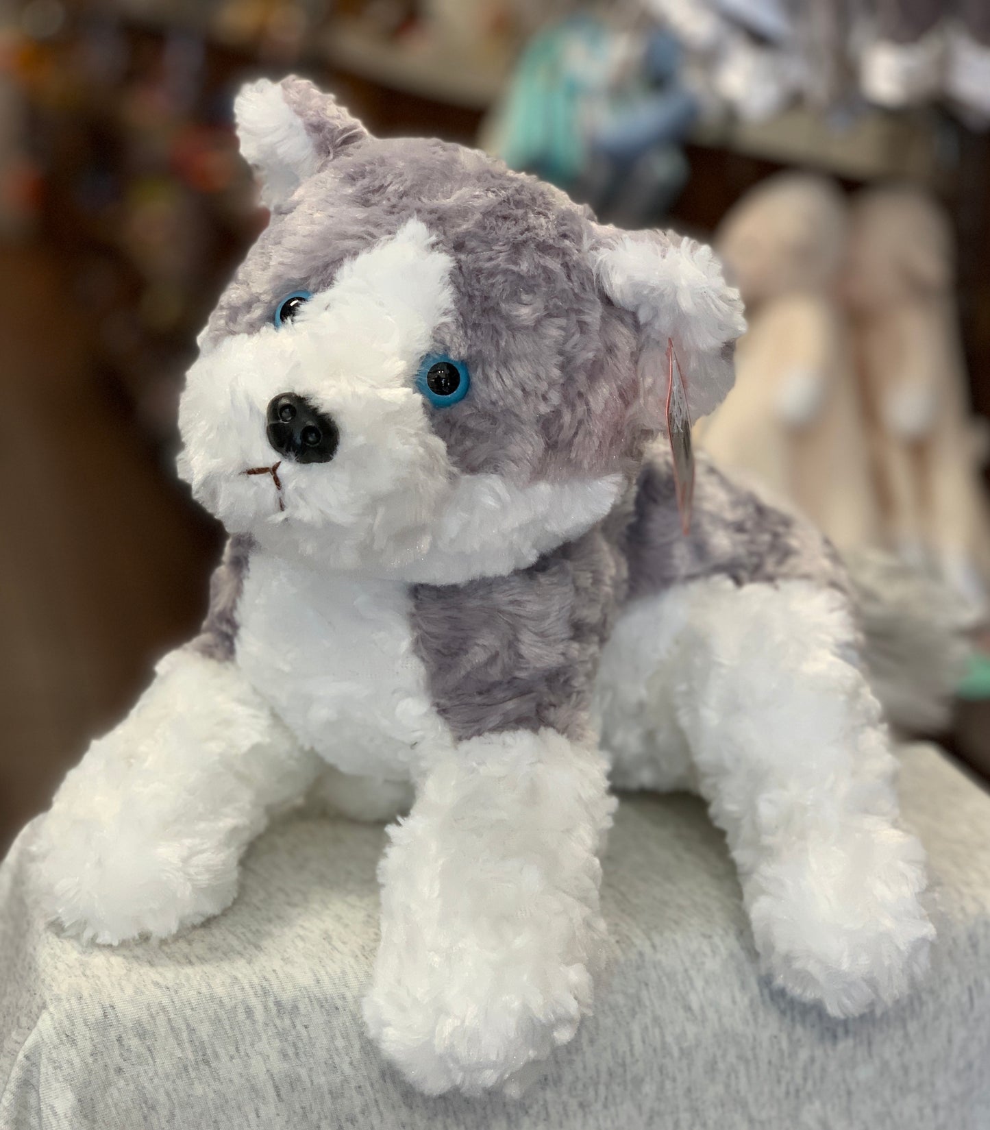 Gund Blitz Husky plush toy with gray and white fur, blue eyes, sitting on display in a store