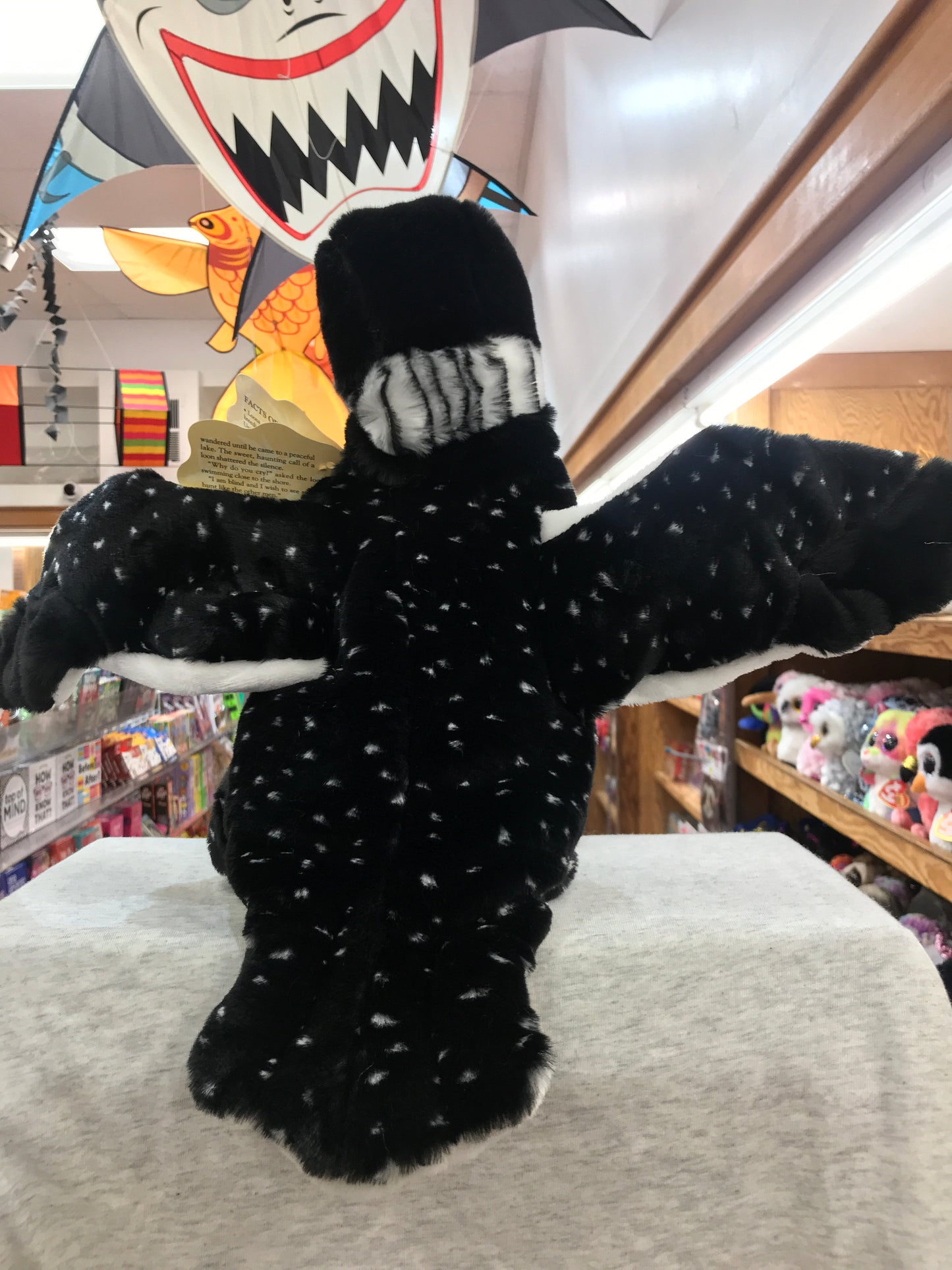 Folkmanis Loon puppet with black and white plumage, displayed in toy store with outstretched wings and soft, realistic appearance