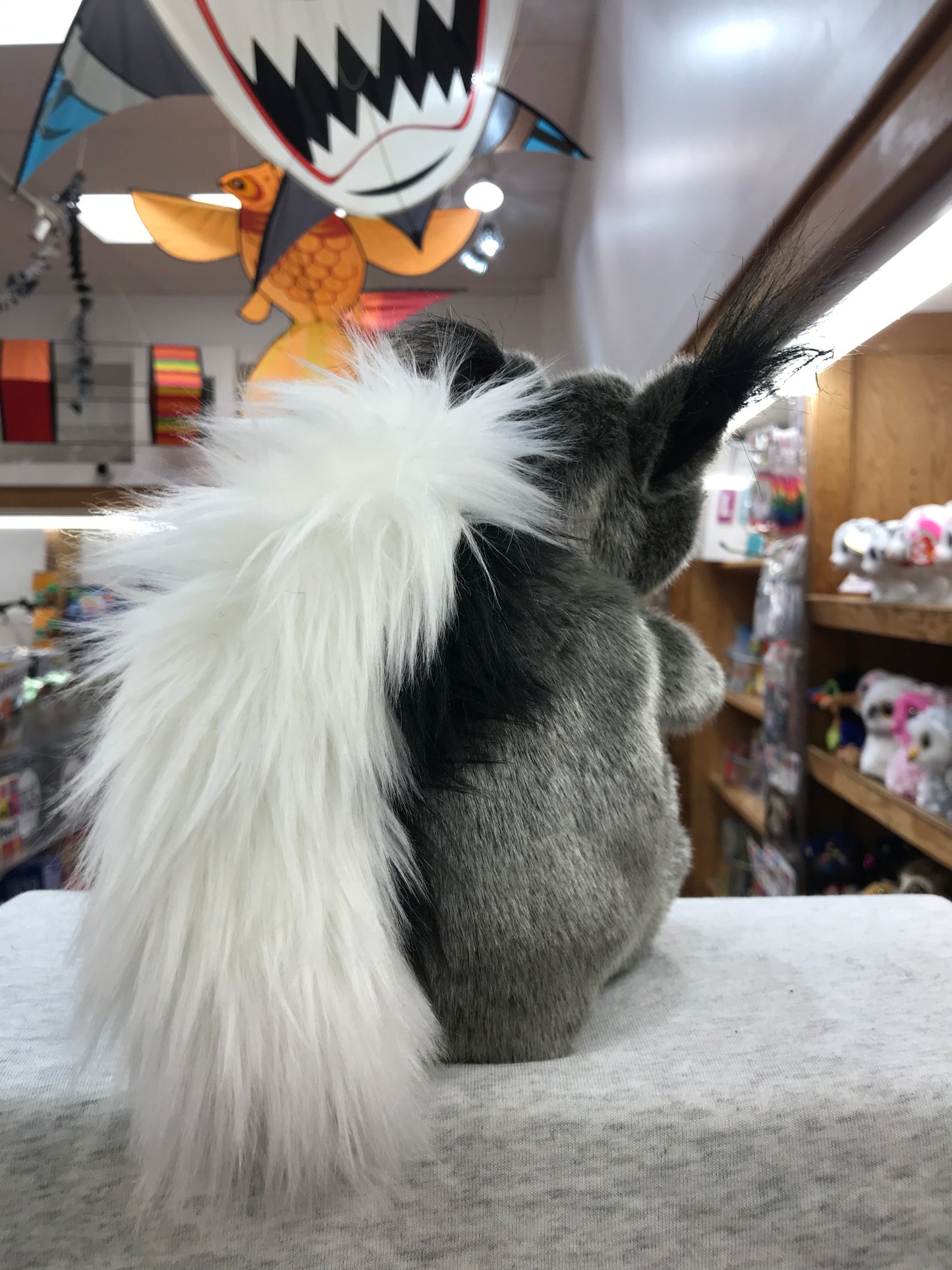 Folkmanis Abert's squirrel puppet with gray and white fur, tufted ears in toy store display with colorful animal puppets visible