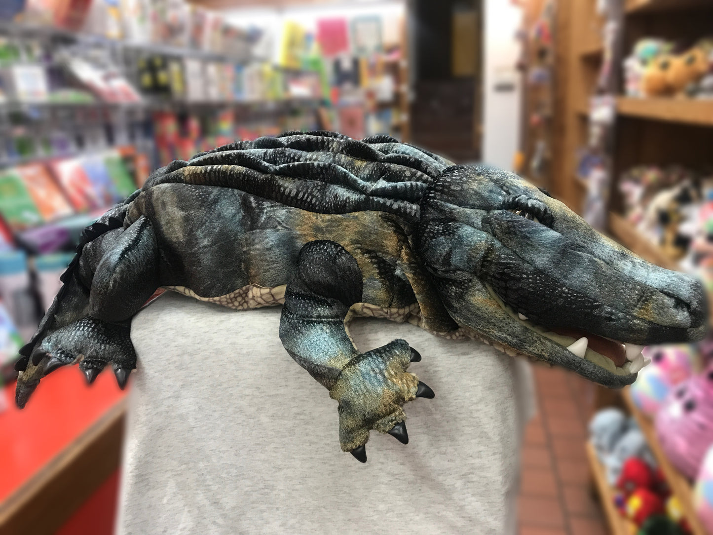Realistic 31-inch Folkmanis American Alligator puppet with textured skin and teeth, displayed in a toy store setting