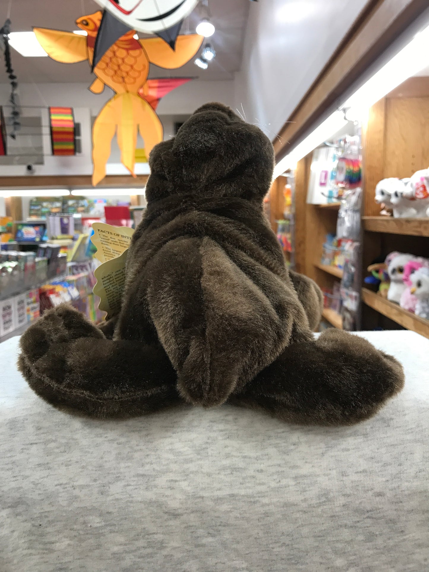 Folkmanis sea lion puppet on display in toy store, showing realistic brown fur and characteristic silhouette