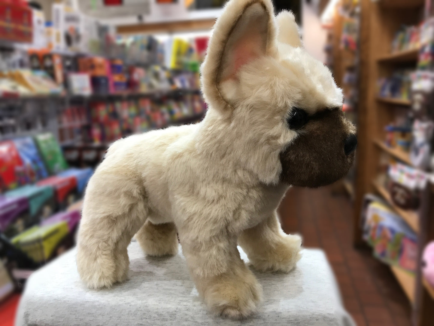 Adorable French Bulldog plush toy with fawn fur and tan face mask, standing in a toy store aisle with colorful shelves behind