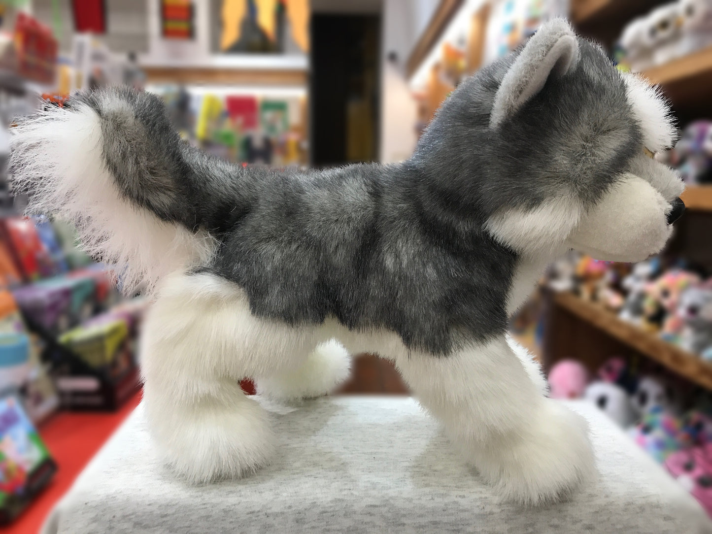 Realistic 12" plush Husky dog toy with gray and white coat, blue eyes, and fluffy tail in toy store setting
