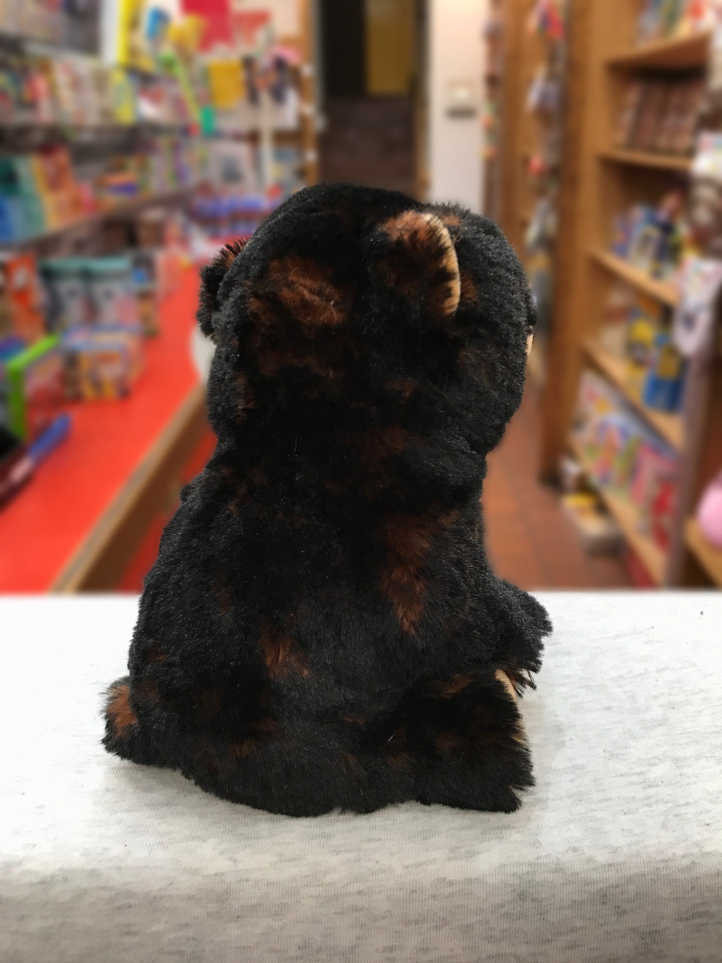 Ty Beanie Baby Kodi black bear plush sitting on display in toy store, soft velvet fur visible