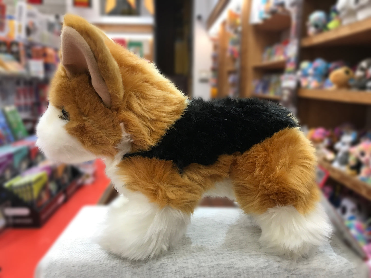 Adorable tri-color Corgi plush dog with large ears and short legs on display in toy store, surrounded by other stuffed animals