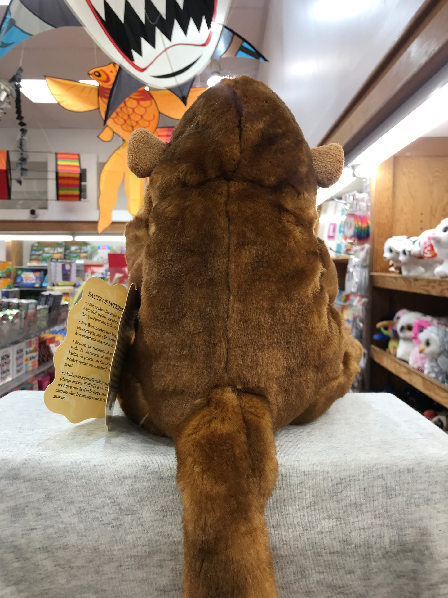 Folkmanis Classic Monkey Puppet, 15 inches tall, soft brown plush, shown from behind in colorful toy store display