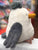 Jellycat Chip Seagull Plush 10"