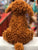 Jellycat Cooper Doodle Dog Plush 9"