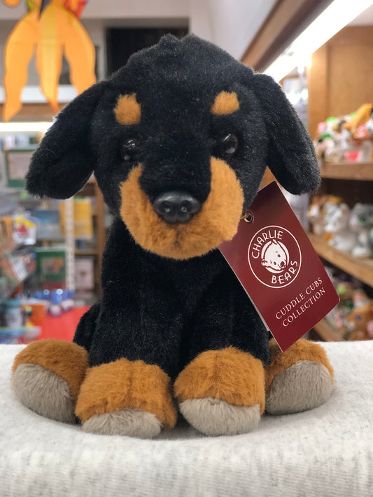 Soft plush Charlie Bears Cuddle Cub Rottie Dog toy, black and tan, with tag, sitting on display in toy store