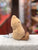 Jellycat Amuseable Peanut Plush 6"