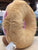 Jellycat Amuseable Doughnut Plush 7"