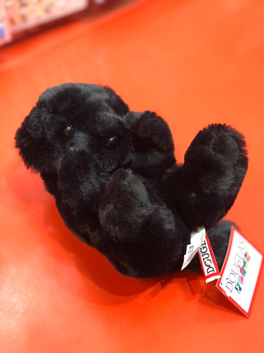 Adorable black Labrador puppy plush toy lying on back with paws up, Douglas brand tag visible, on bright orange background