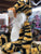 Jellycat Bashful Tiger 12"