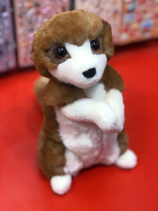 Douglas Enzo Meerkat Plush 10"