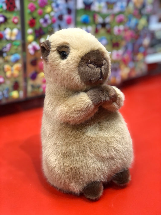 Douglas Chattie Capybara Soft Mini Plüsch 18 cm