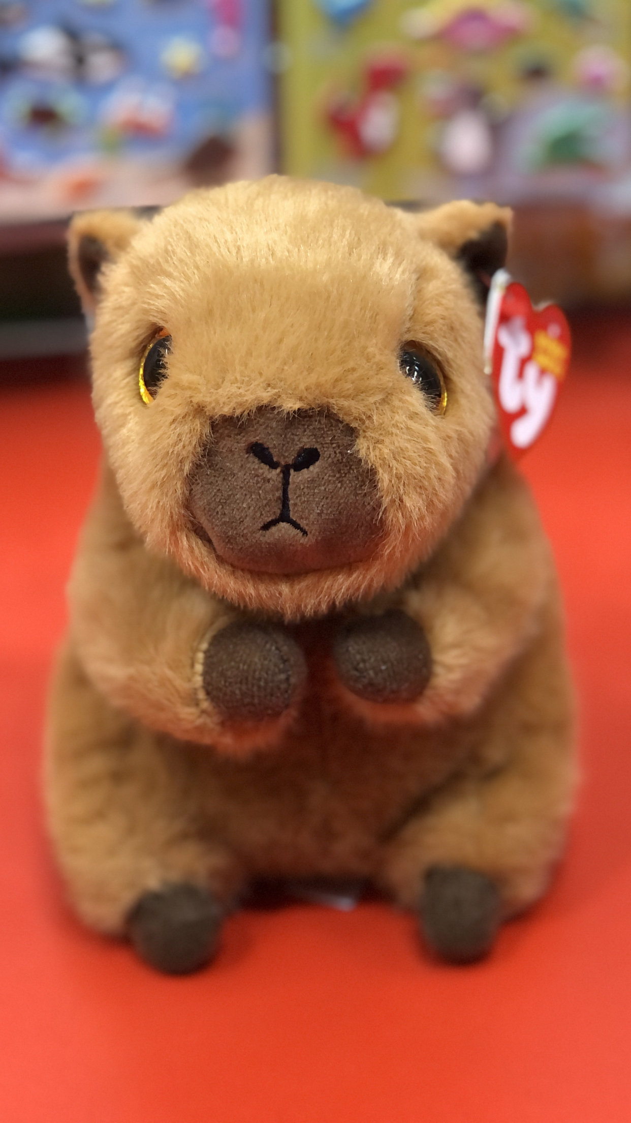 Ty capybara stuffed animal toy with a Ty red tag on a red background.